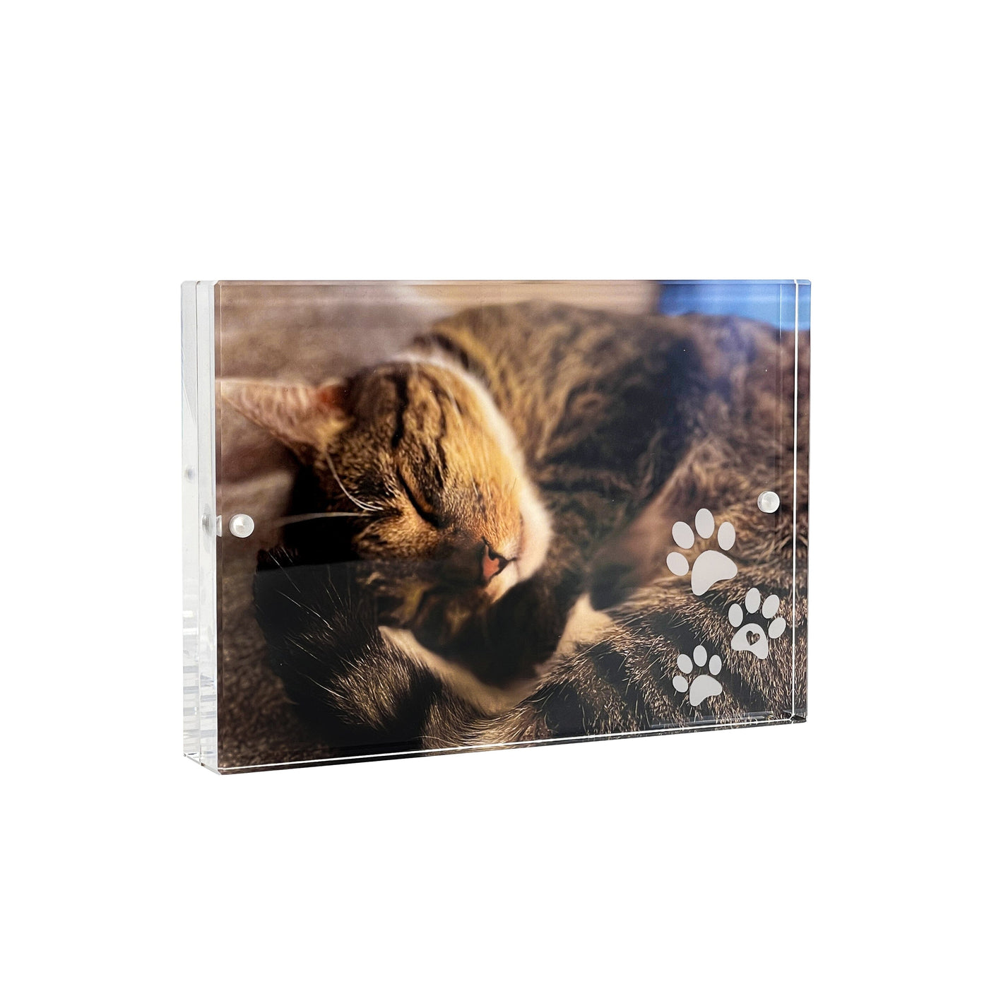 Paw Prints Acrylic Photo Frame Frames Truly Gifted 