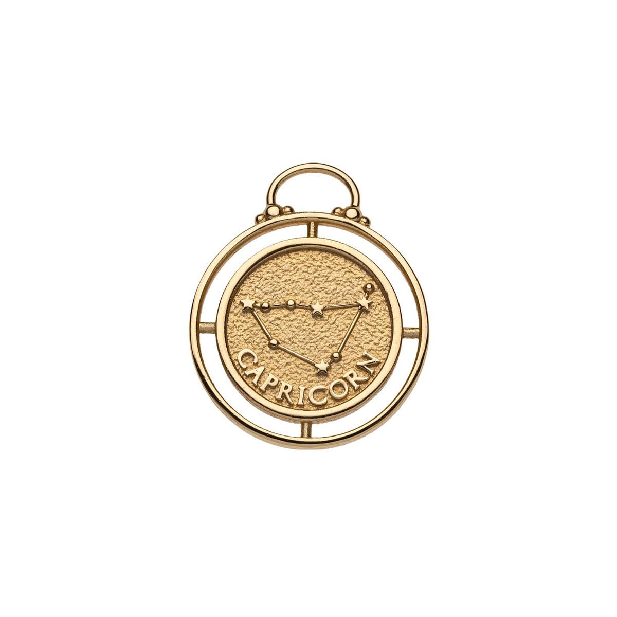 Capricorn Zodiac Coin Pendant Necklace Necklaces Jane Win 