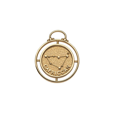 Capricorn Zodiac Coin Pendant Necklace Necklaces Jane Win 
