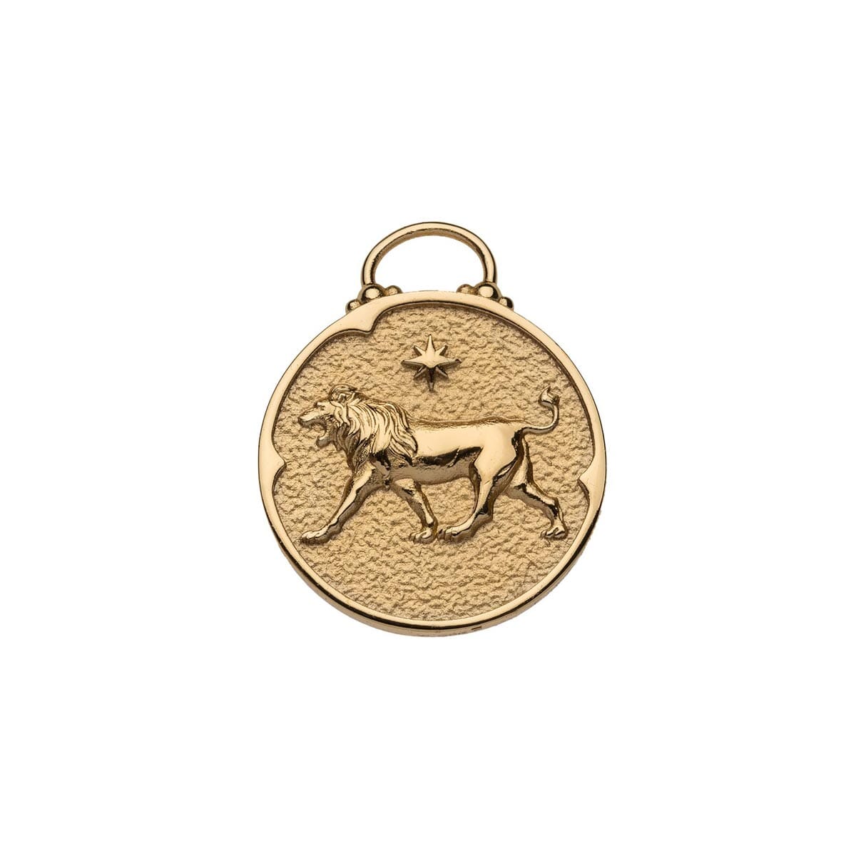 Leo Zodiac Coin Pendant Necklace Necklaces Jane Win 