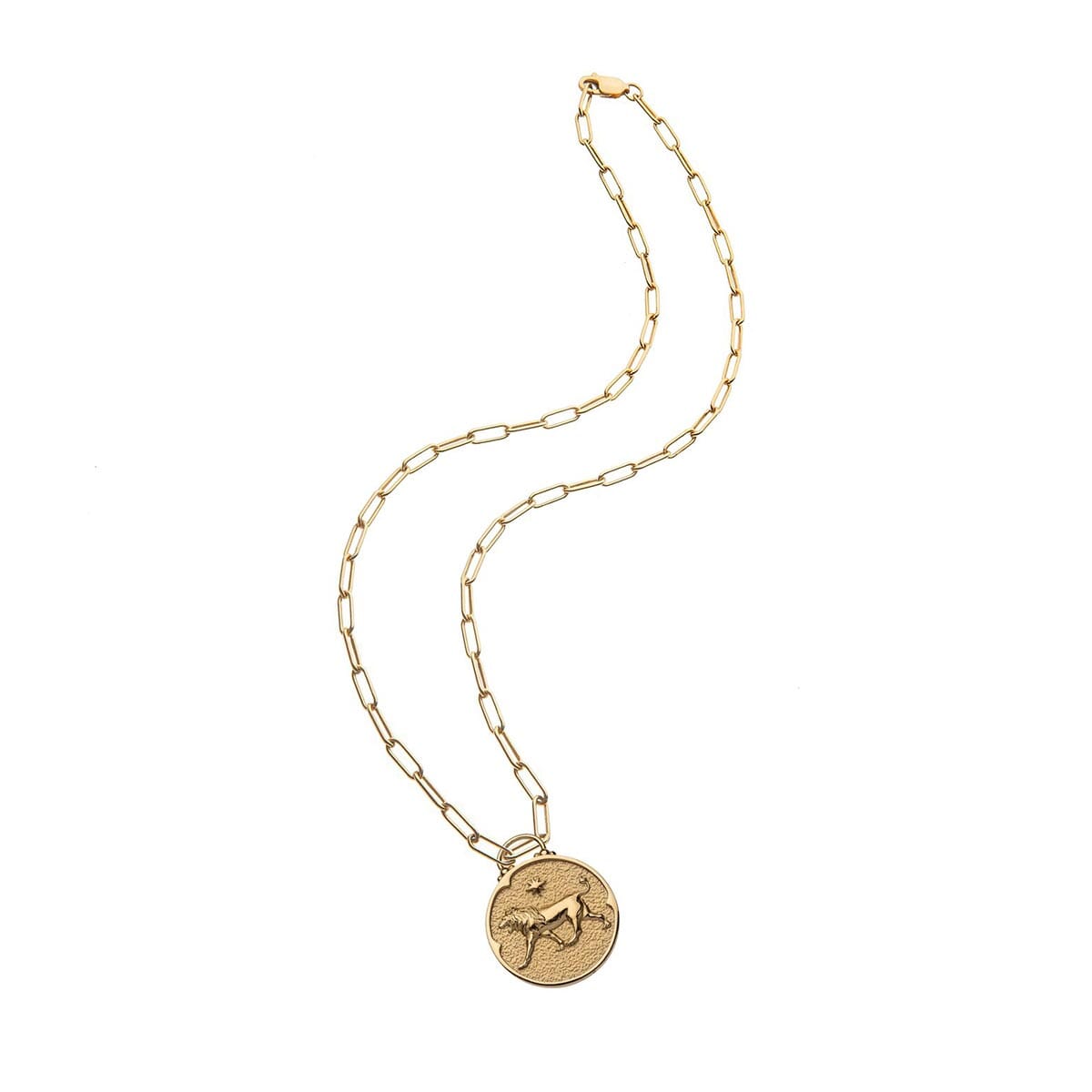 Leo Zodiac Coin Pendant Necklace Necklaces Jane Win 